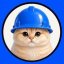 BASECAT logo